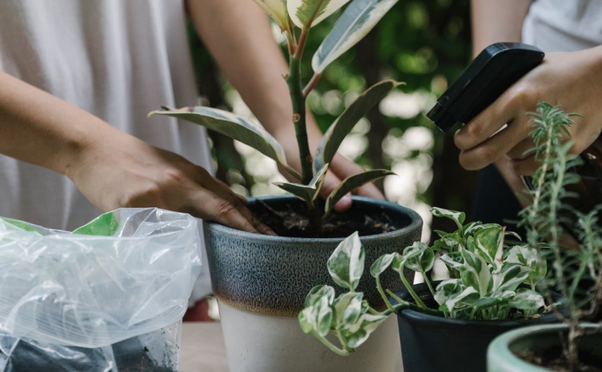 New home decor from John Doerson