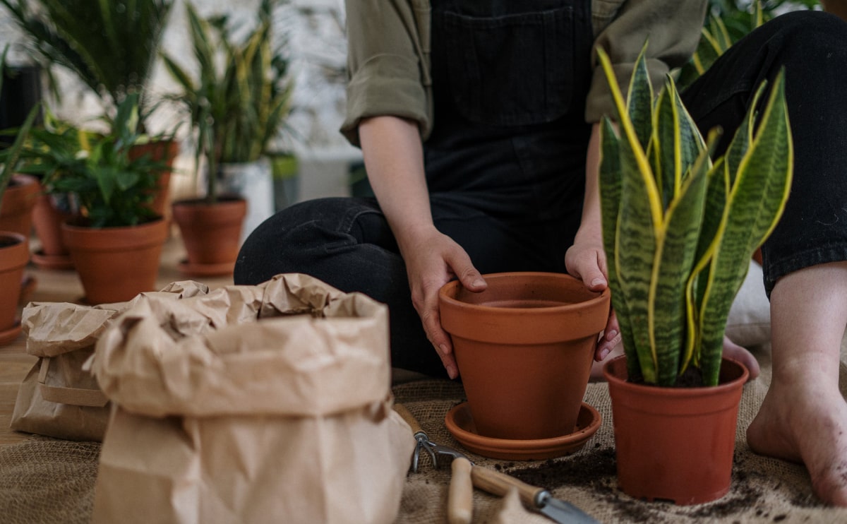 Sweet seat: functional seat for IT folks